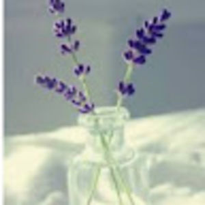 Meet your Posher, Ciel